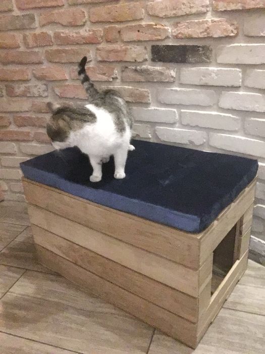 Skrzynia na kuwetę z poduszką ,domek dla kota , legowisko