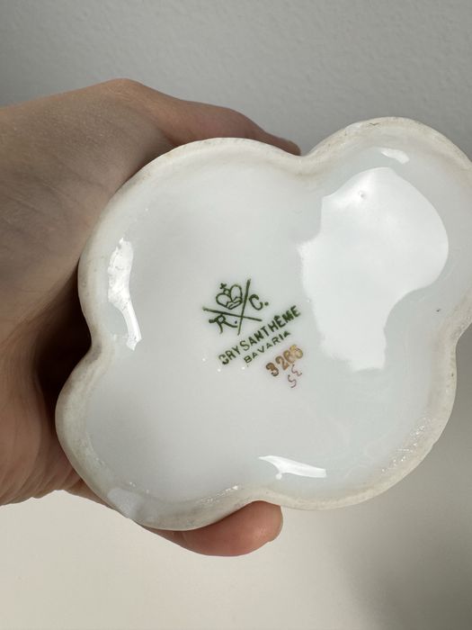 Mlecznik Rosenthal Cacilie Róże