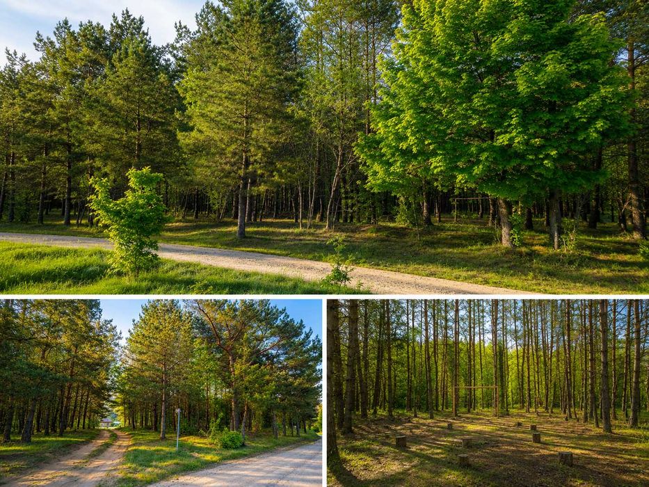 Działki budowlane przy lesie na Warmii, uzyskane warunki zabudowy, Lamkowo k. Barczewa (bez pośredników)