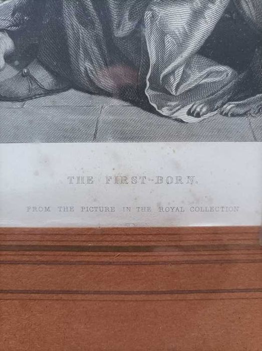 Gravura antiga "First Born"