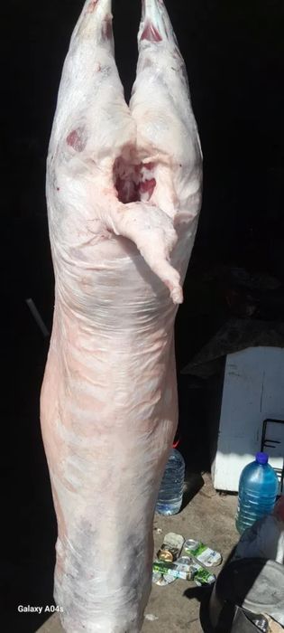 Баранина Тушками