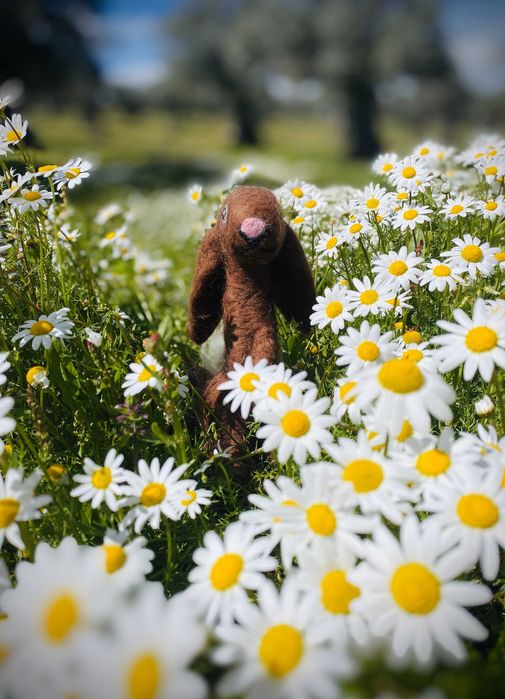 Coelho Artesanal de Feltro com Agulha – Ecológico e Único!