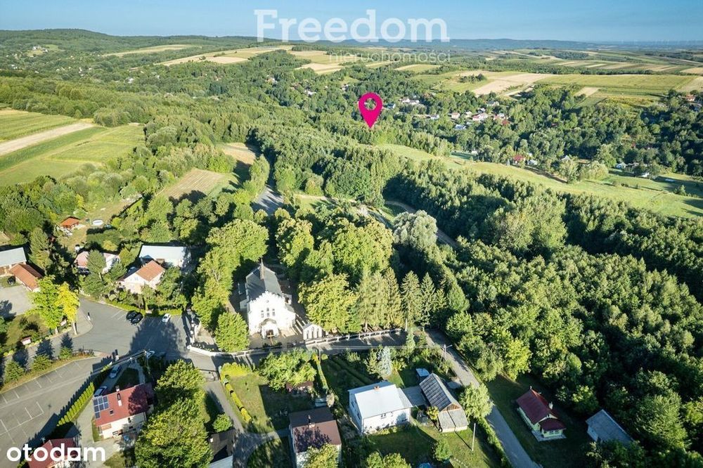 Działka z własnym lasem (43 ar),blisko sanktuarium