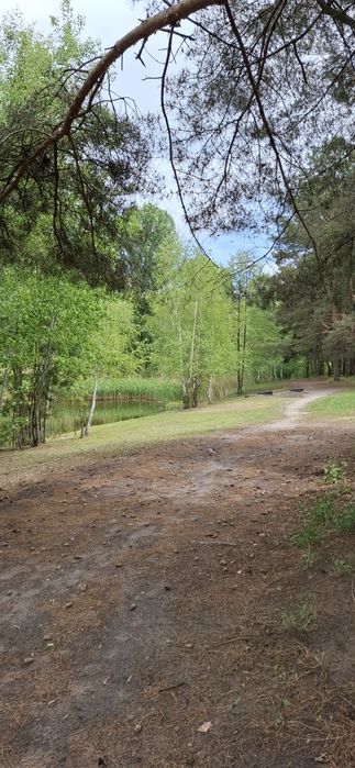 Продам земельну ділянку  біля соснового лісу та озера 3 занасип