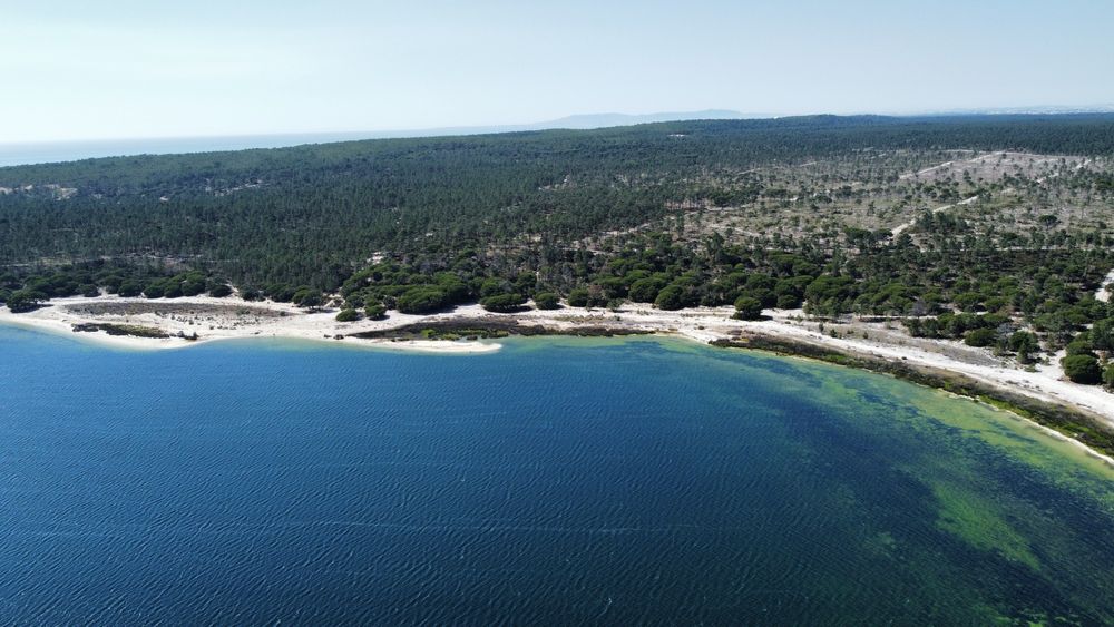 Filmagens e fotos aéreas por drone.