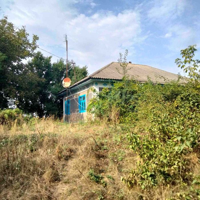 Продам дом в с.Осычки.Савранского района.
