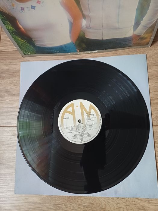 Carpenters - Horizon płyta winylowa