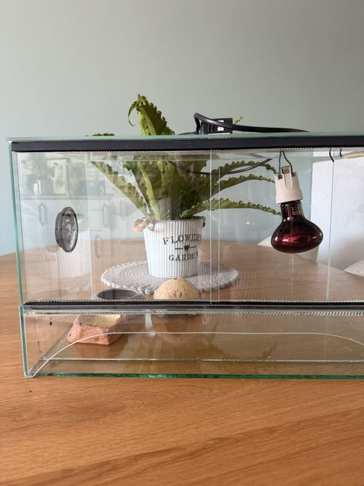 Terriarium po gekonie