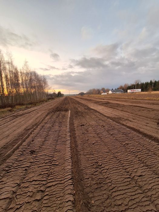 Darmowa wycinka drzew lasow samosiejek czyszczenie dzialek mulczer
