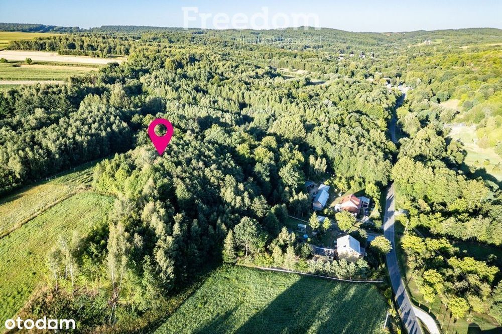 Działka z własnym lasem (43 ar),blisko sanktuarium