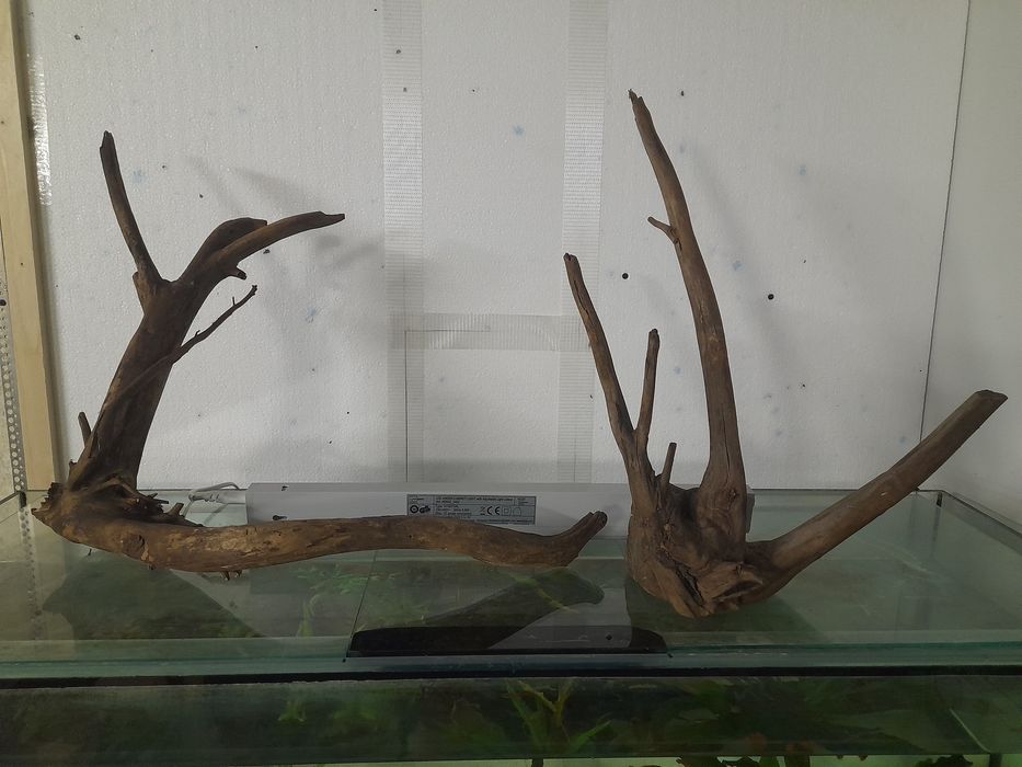 Korzenie do akwarium , naturalne