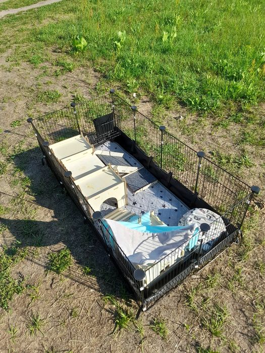 Klatka kojec dla królika, świnki morskiej
