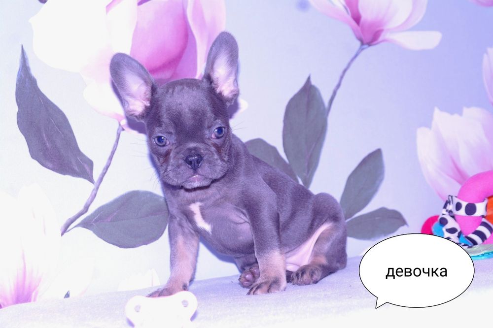 Супер детки ждут Вас