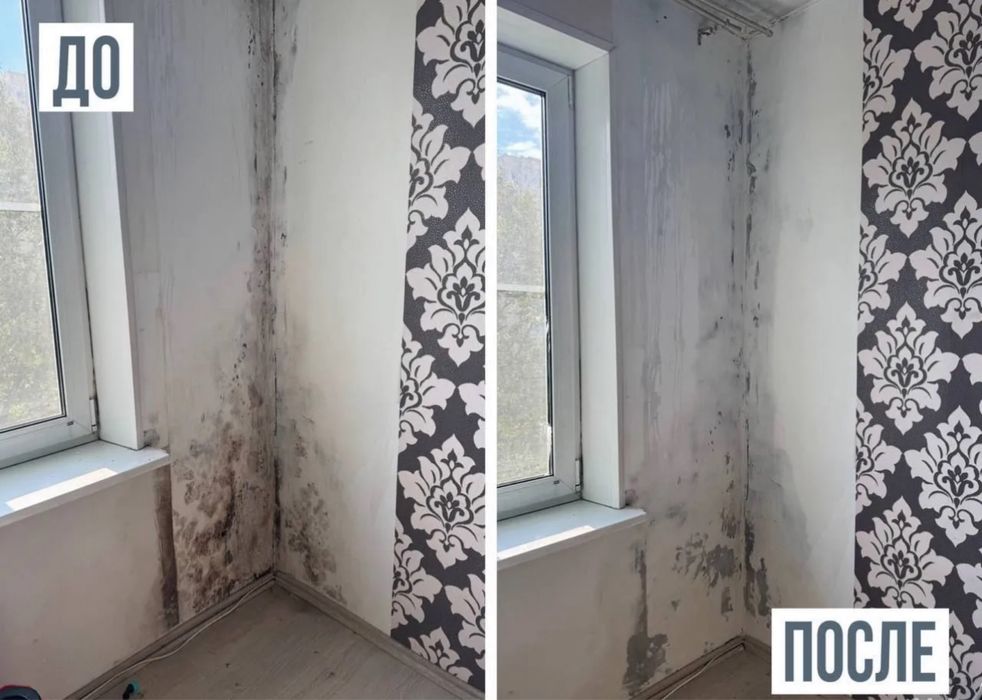 100% уничтожение тараканов клопов блох мышей крыс. Гарантия 1 год!