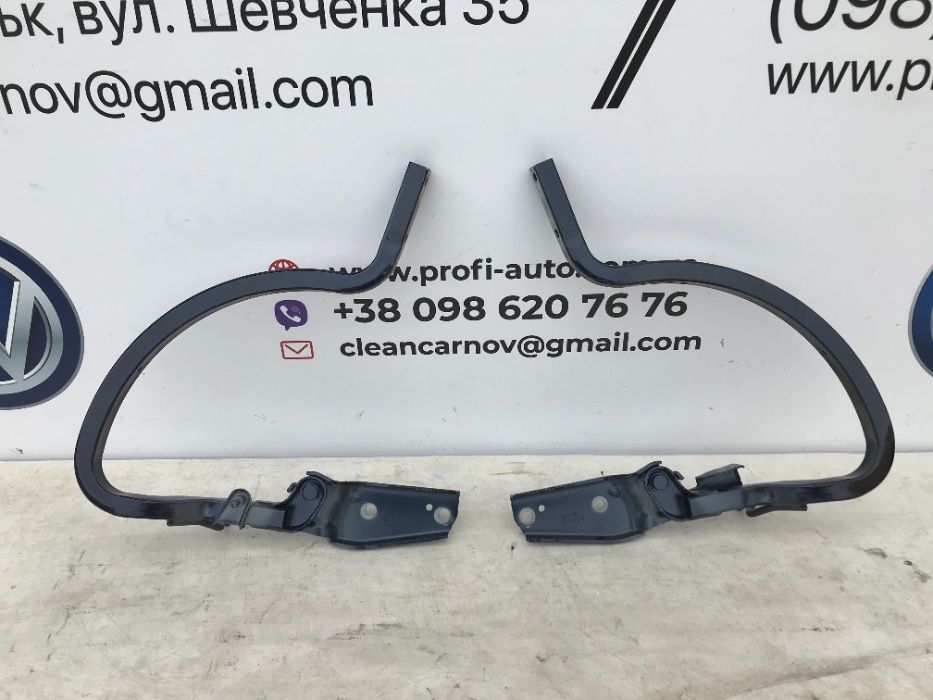 Петлі-завіси кришки багажника(комплет) Volkswagen Passat B7-B8-B9 NMS USA