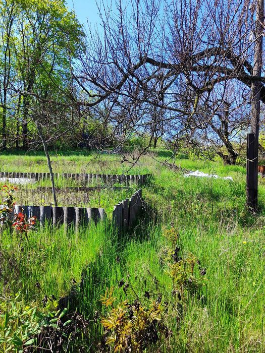 Солнце  Свежий Воздух И Река