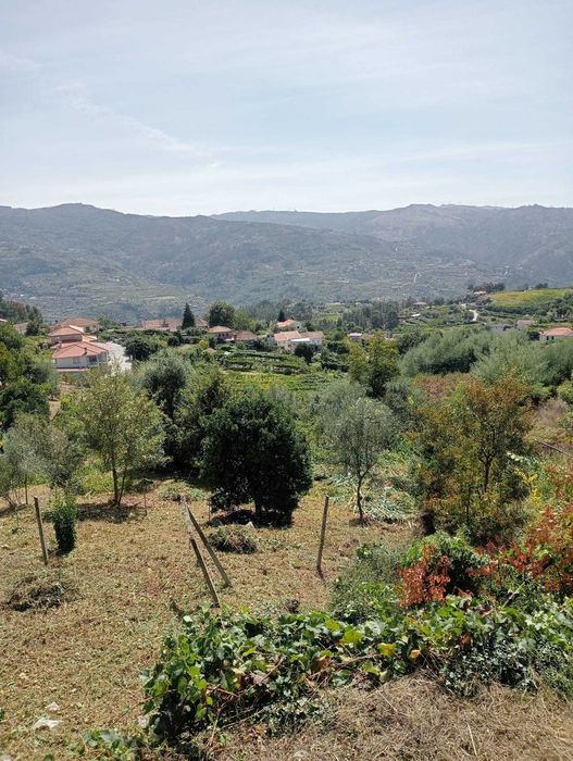 Terreno em Enxames, Santa Cruz do Douro