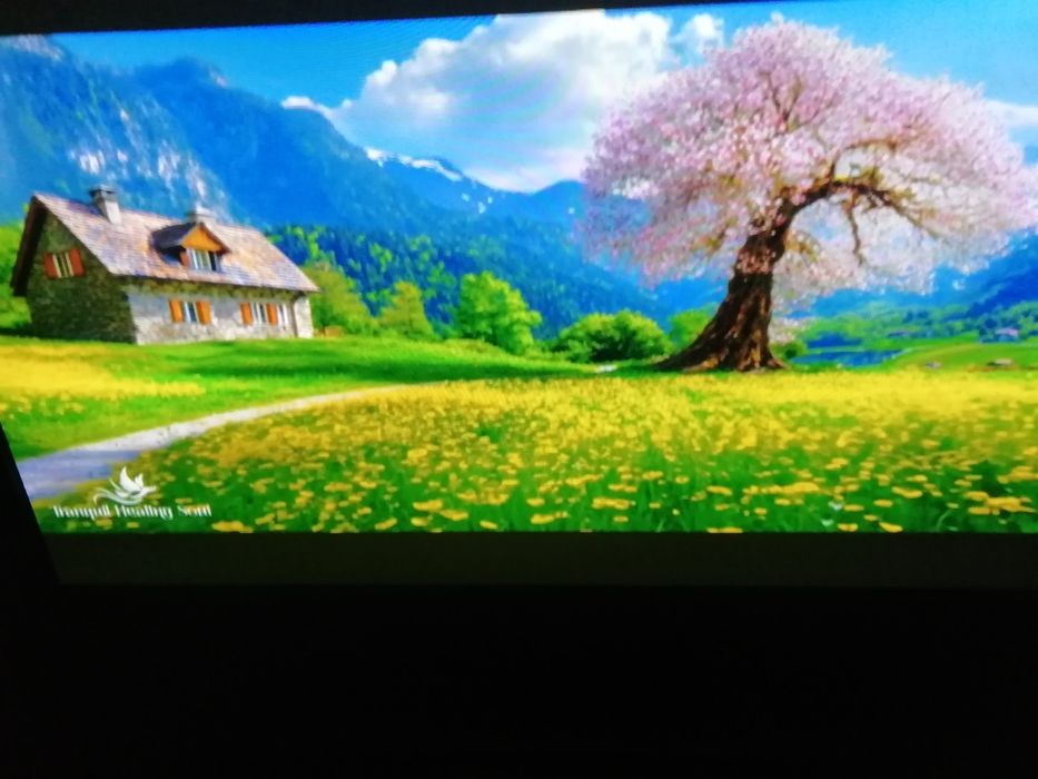 Телевизор Samsung PS50C 450 плазма