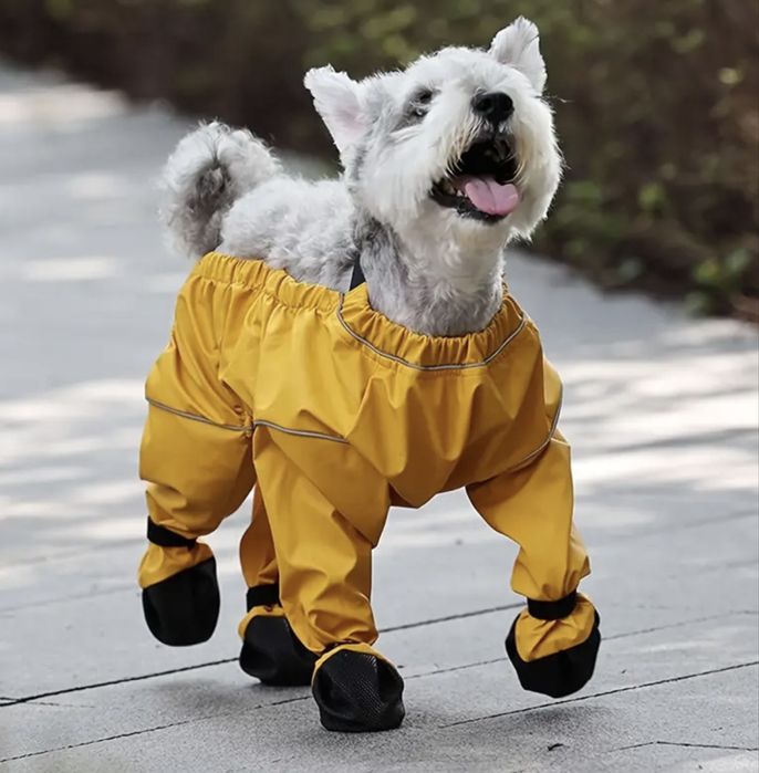 Обувь для собак