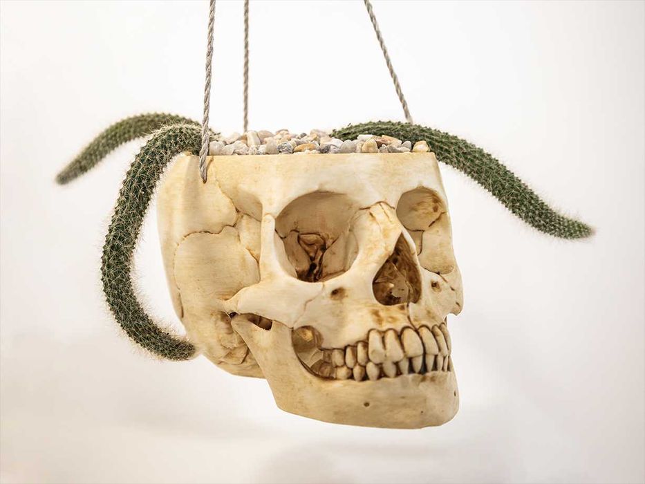 Vaso em formato de Crânio Humano Tamanho Real - Vaso para Decoração Gótica - Halloween