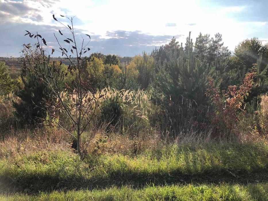 Продаж  садового  будинку