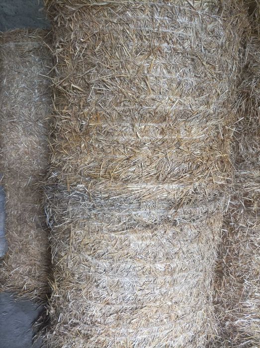 Słoma żytnia 125x120