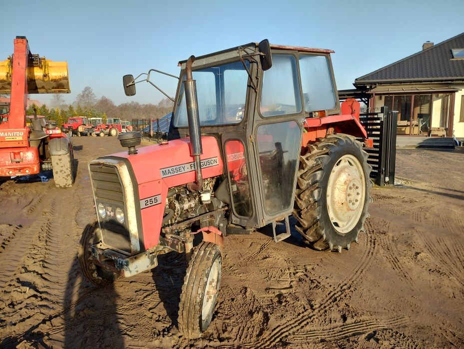 Sprzedam Massey Ferguson 255. Rok 1989.. zamiana