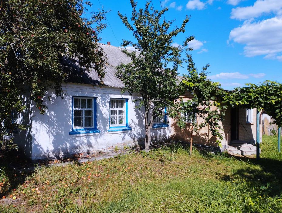 Продаю будинок в селі Северинівка Таращанського району