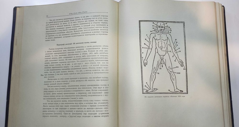 Ибн Сина Авицена Канон врачебной науки. В двух томах.
