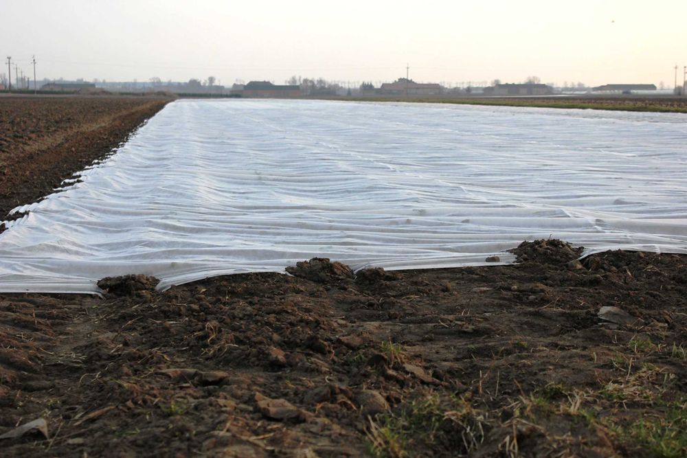 Agrowłóknina P30 12.65x100m  Producent NaturSorte