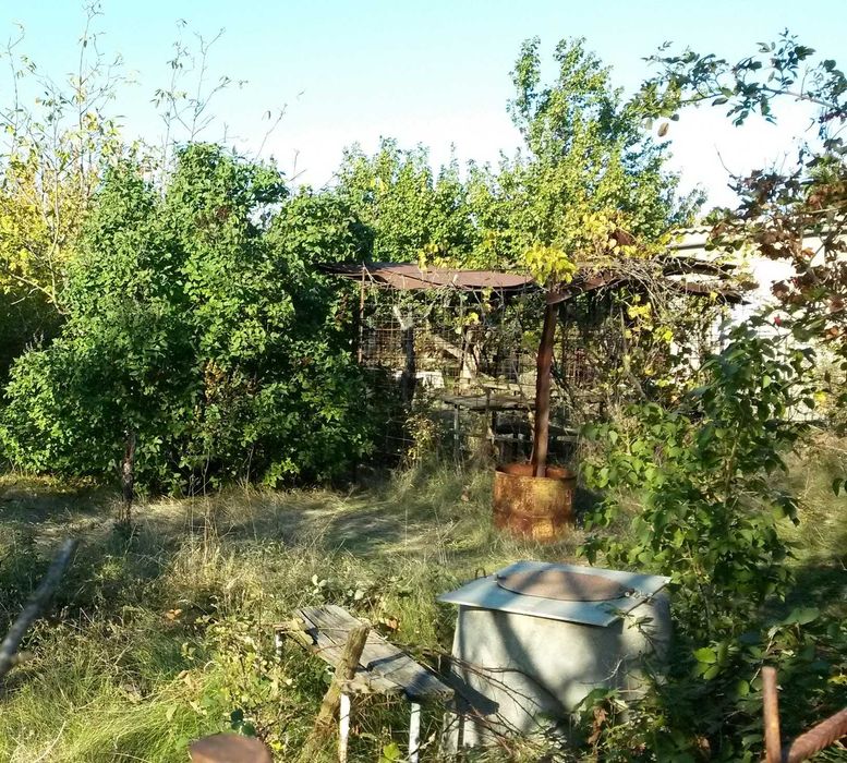 Продам свой участок в Палиево (Одесская обл.)