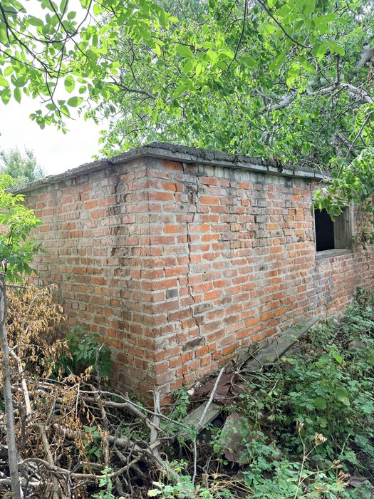 Будинок в джунглях Піщаного.