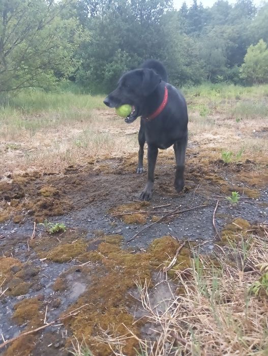 Tami jak błyskawica