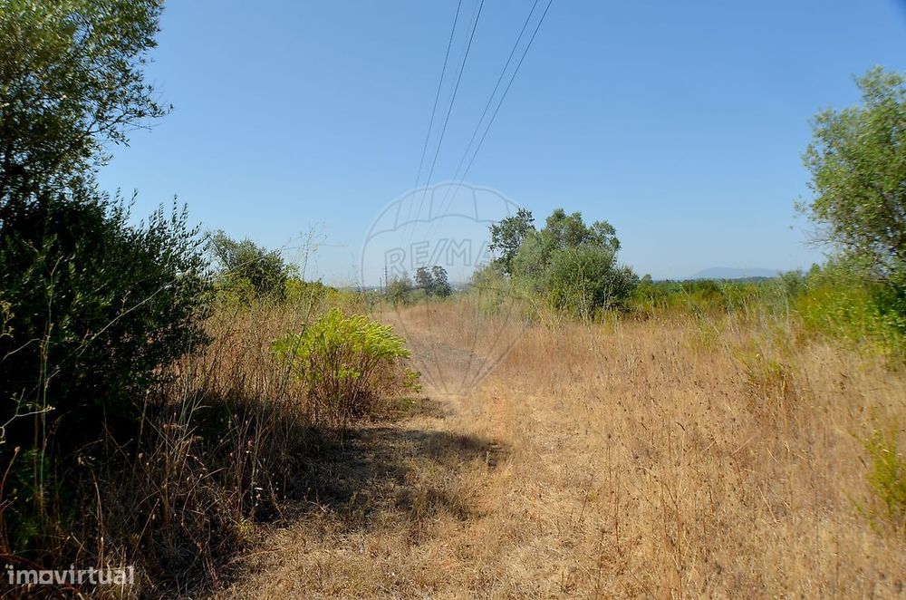 Terreno  para venda