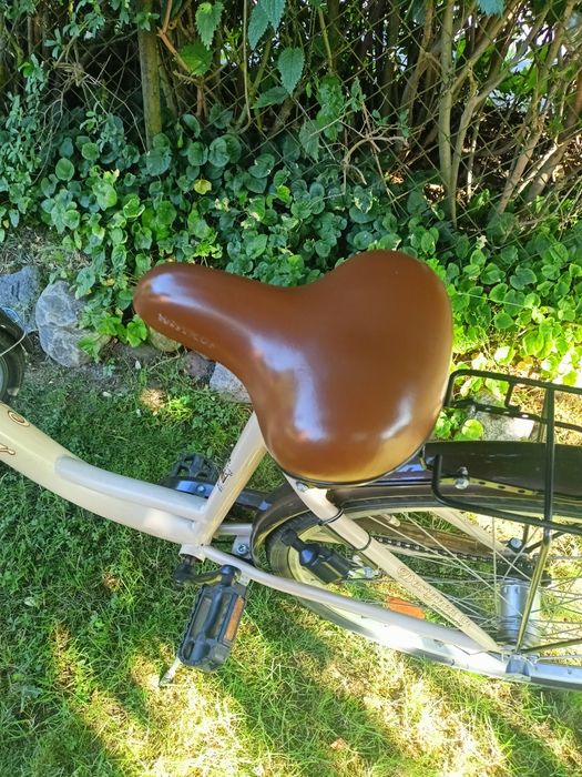 Rower miejski SENATOR