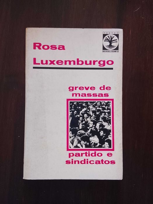 Rosa Luxemburgo - Greve de Massas, Partido e sindicatos (1906)