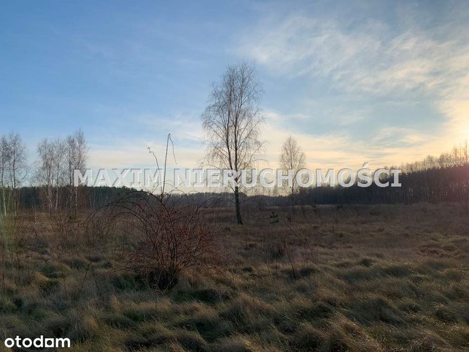Działki z Wz w Latonicach gm Nowe Miasto