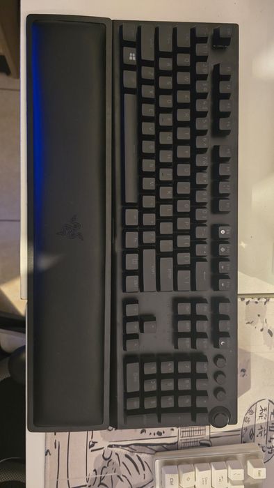 Razer Blackwidow v3 Pro