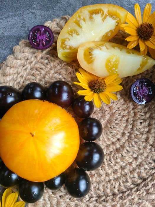 Набір насіння томатів "Український"