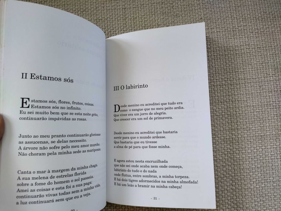 Testamento do Pássaro Solitário (José Luis Martín Descalzo)