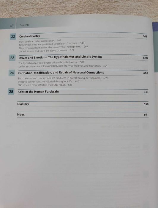 Livro de Neuroanatomia - The Human Brain - Funcional Anatomy -  Nolte