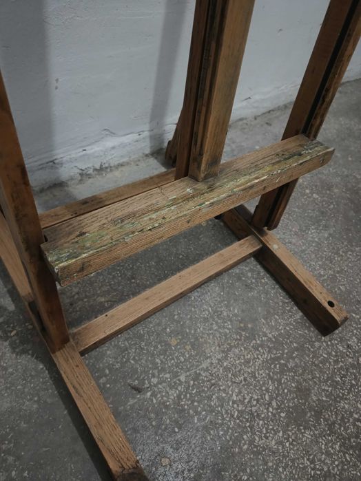 Sztaluga malarska duża