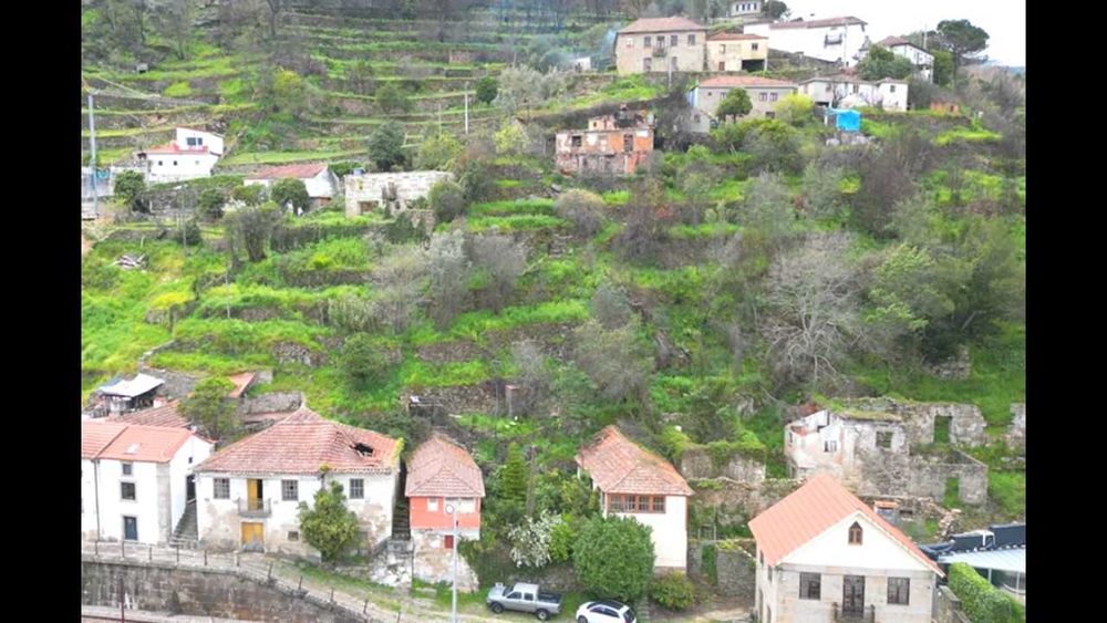 Terreno Urbano, na Margem do Rio Douro, com duas casas para Recuperar - Baião ( Ancede e Ribadouro )