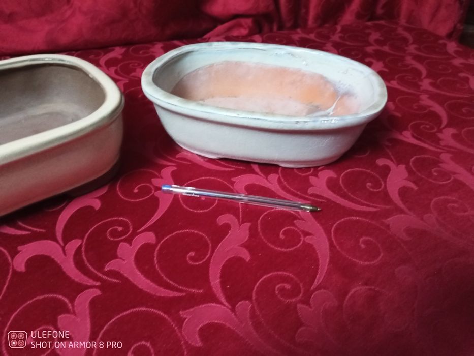 2 vasos bonsai usados