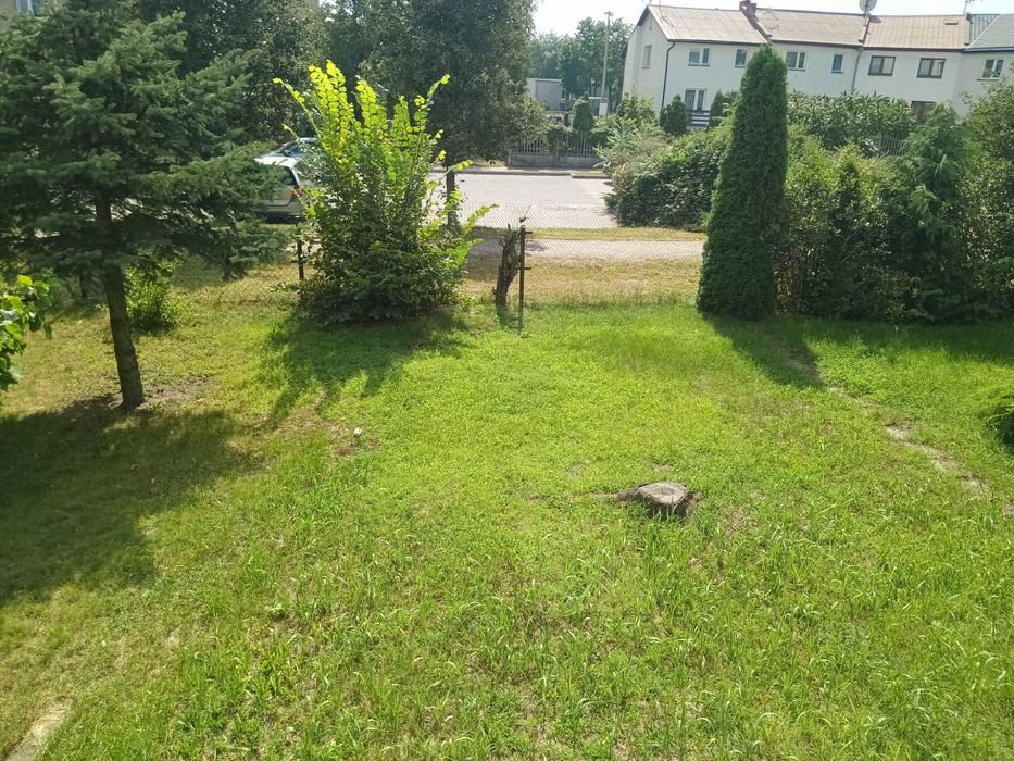 Mieszkanie na parterze