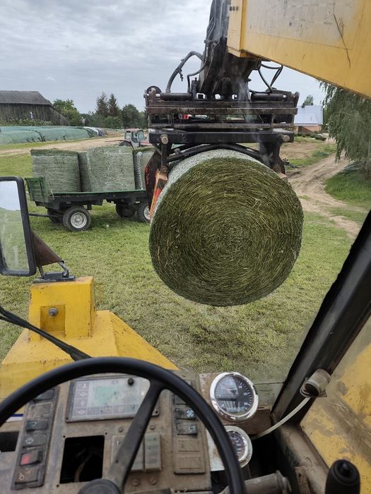 Bele lucerny, kiszonka