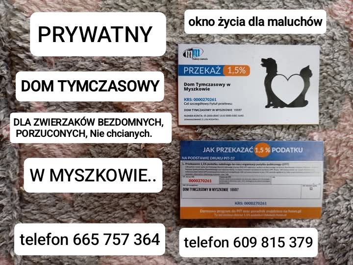 Prywatny Dom tymczasowy