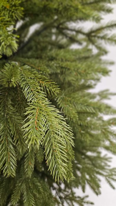 Choinka Premium, Świerk Skandynawski 100% PE 220 cm