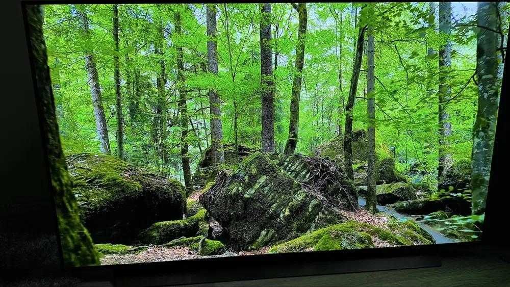 Телевізор LG OLED55C1