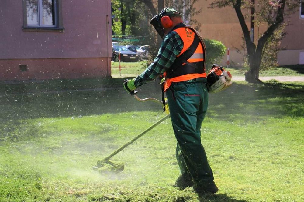 Czyszczenie działek oraz nieużytków, wycinka drzew i krzewów, koszenie trawników
